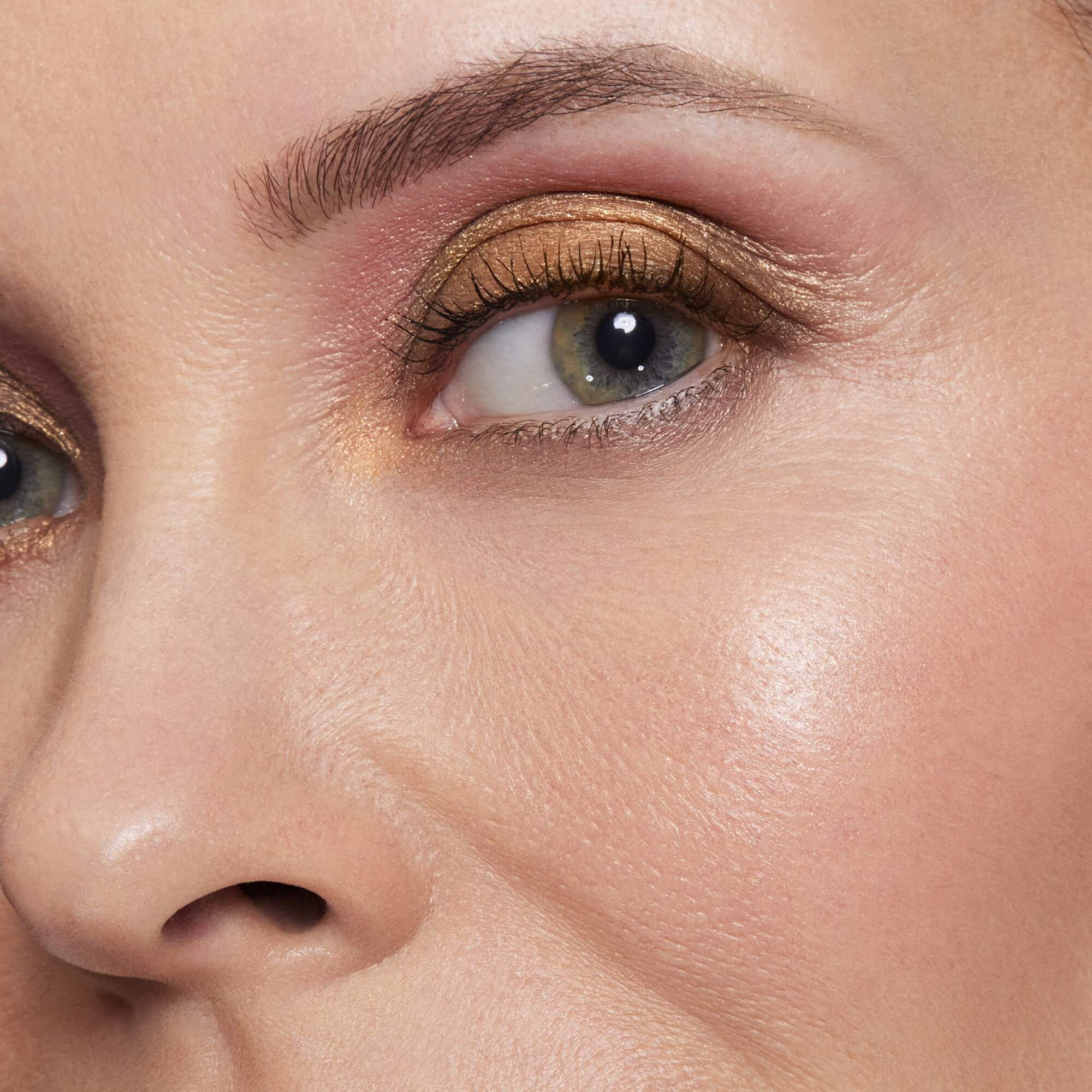 The Adventurous Palette