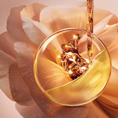 ABSOLUE THE COLLECTION