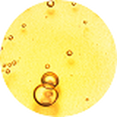 Zastupljenost vitamina E