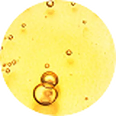 Zastupljenost vitamina E