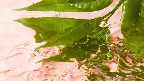 Svježa vizualna ljepota za Lancome