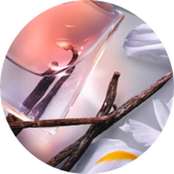 Boca parfema s mirisom vanilije, okružena cvjetovima i štapićima vanilije.