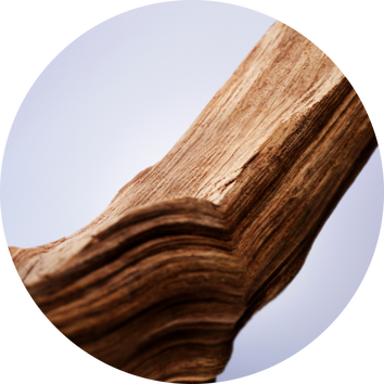 Blizu prikaz drveta s vidljivim teksturama i godovima, s mekim pozadinom koja ističe njegovu prirodnu ljepotu.