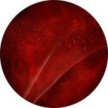 Apsolutno crvena površina s blagim gradacijama i sjajem, evocira osjećaj dubine i misterije.
