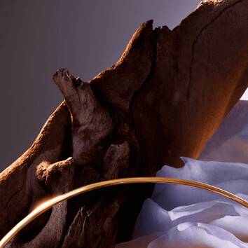 Umjetnički prikaz drvenog komada s zlatnim prstenom i mekim materijalom u pozadini.