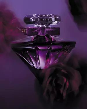 La nuit Tresor Still Life